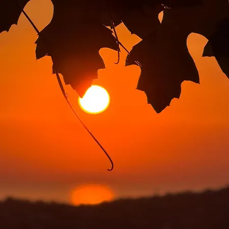 Tre Terre 2 * בפורטורוז