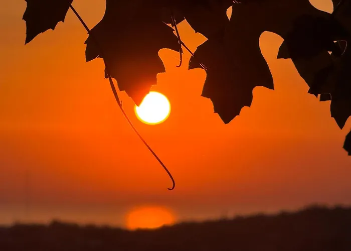 Tre Terre 2 * בפורטורוז